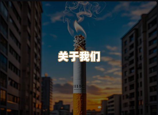 关于地云时烟草平台